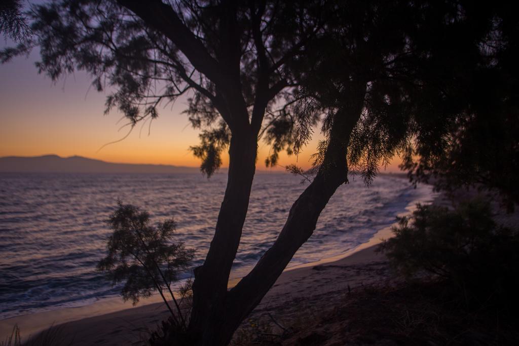 Akti Kastraki Beach ภายนอก รูปภาพ